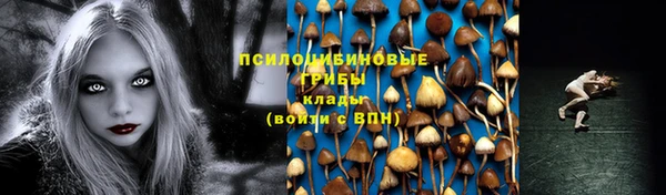 мдпв Надым