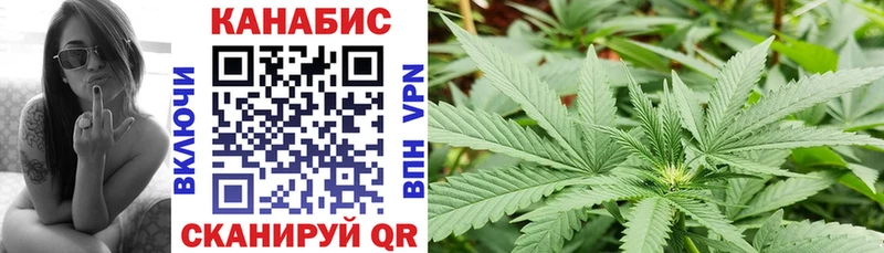 Купить закладки  Алексеевка  Марихуана сатива 